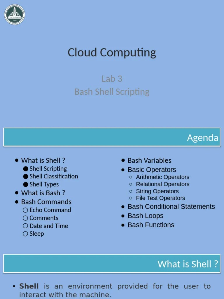 [CC_23] Lab 3 | PDF | Command Line Interface | Shell (Computing)