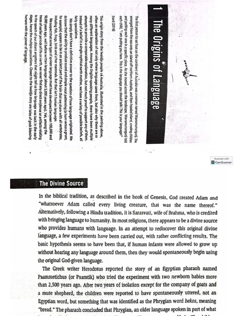Origin Of Language | PDF
