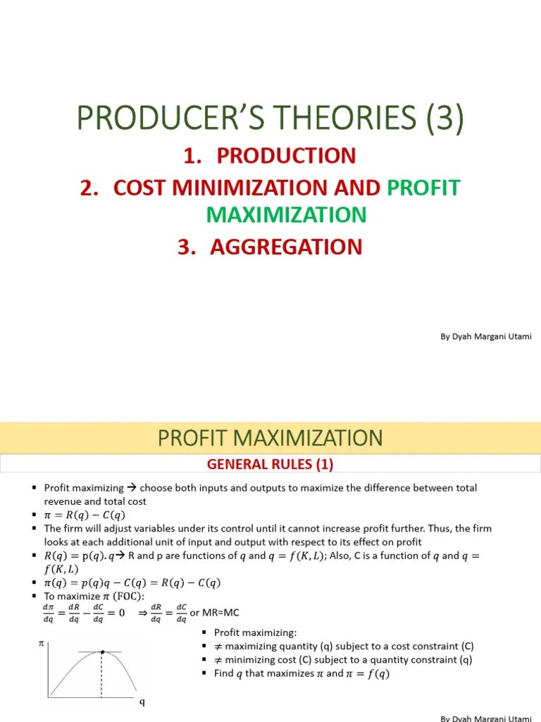 Profit Function Pdf Profit Economics Mathematical Optimization