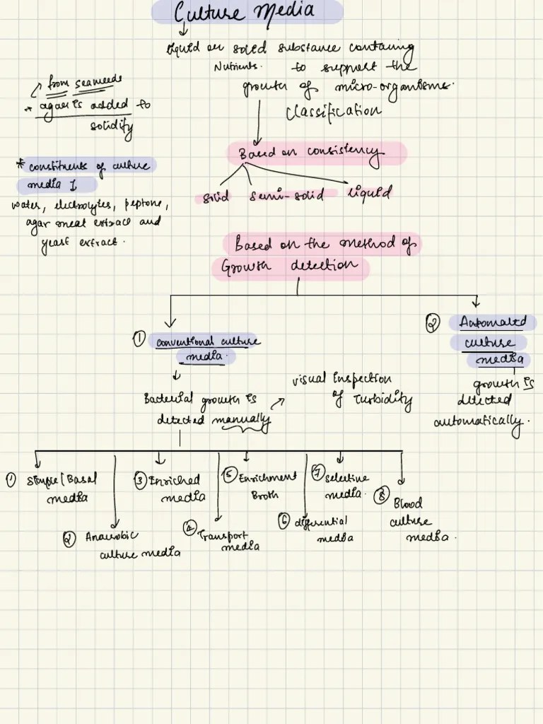Microbiology | PDF | Growth Medium | Microscopy