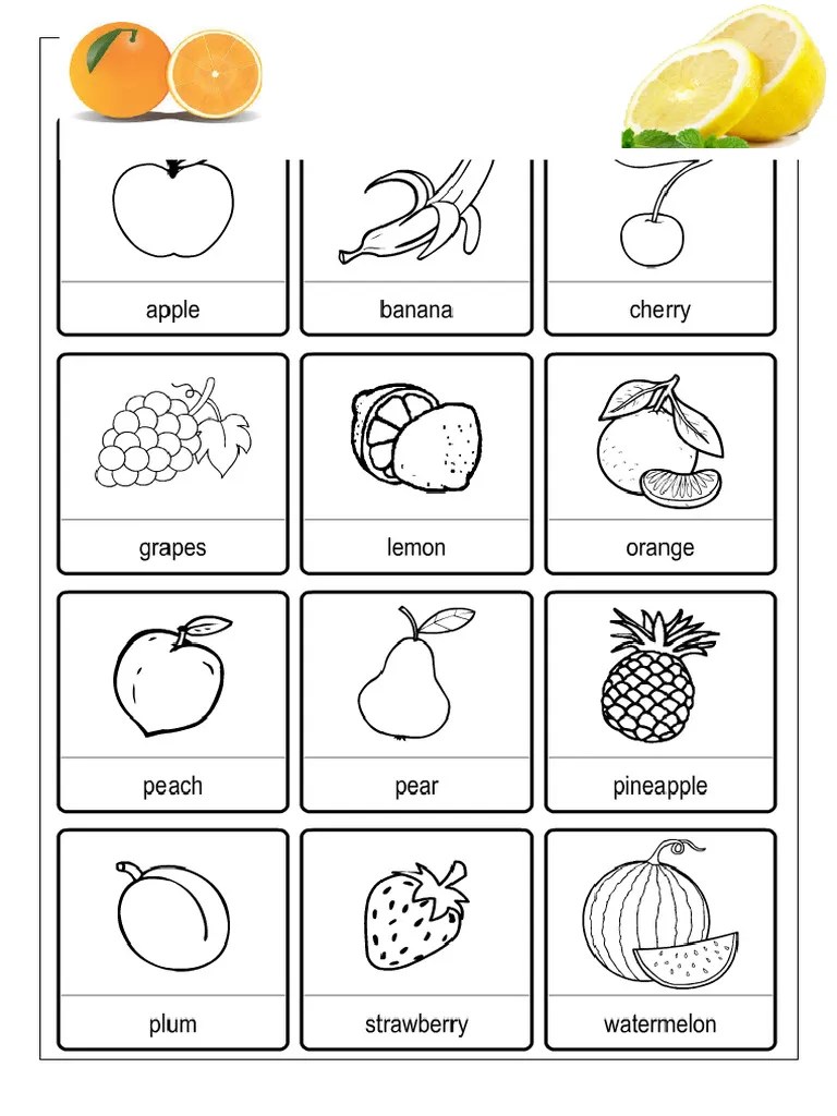 FRUIT | PDF