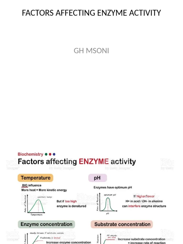 Factors Affecting Enzyme Activity | PDF