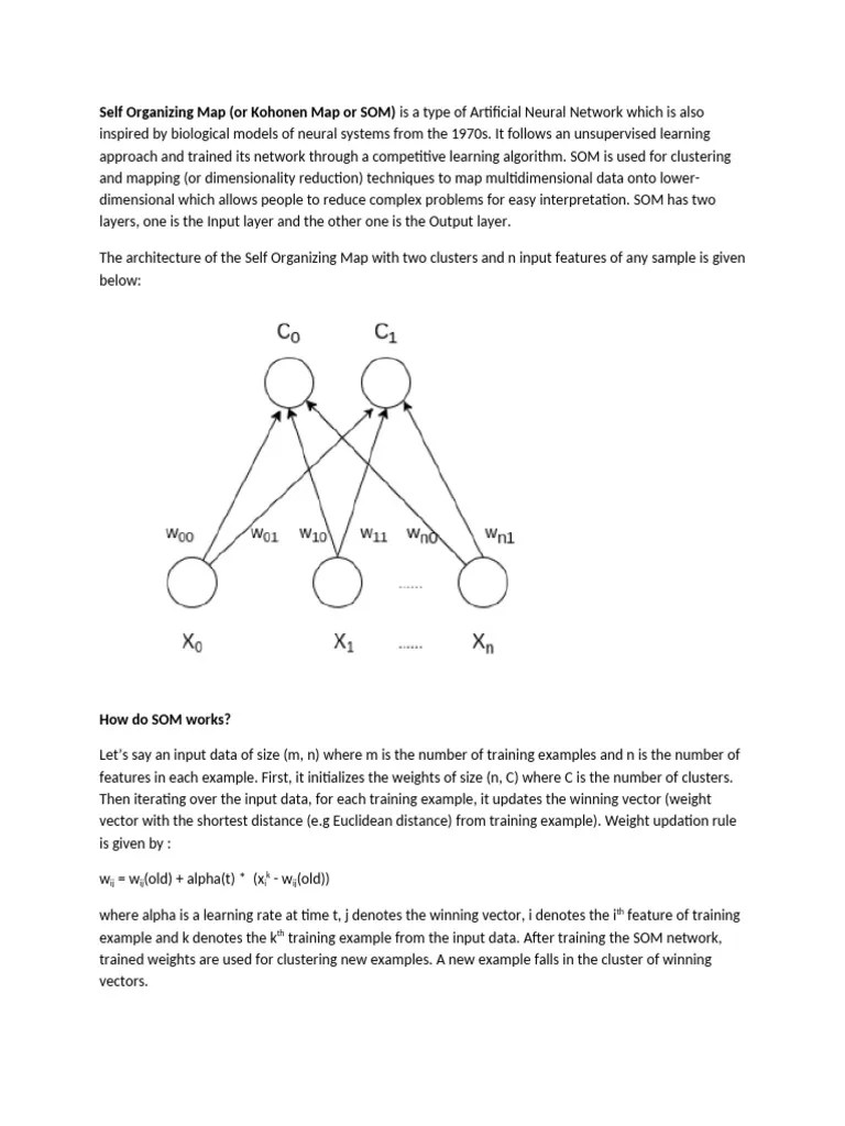 Self Organizing Map | PDF | Machine Learning | Algorithms
