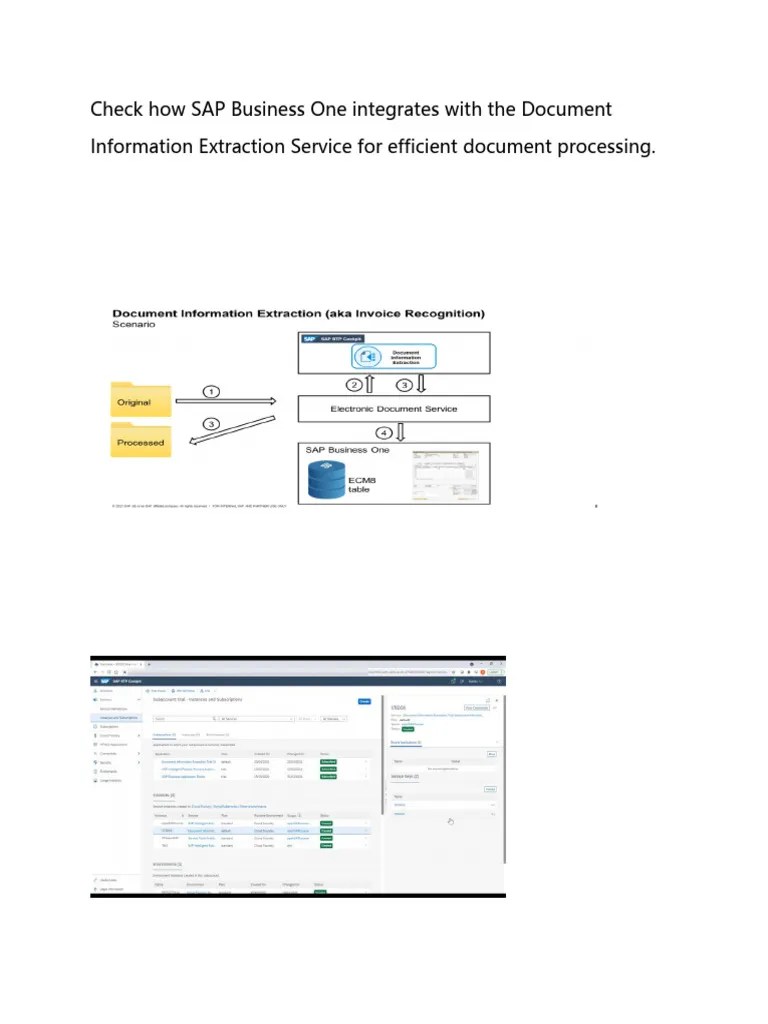 Check How SAP Business One Integrates With The Document Information ...