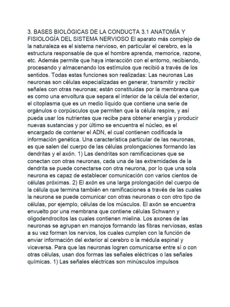 Bases_biologicas_de_la_conducta.pdf Cerebro Y Medula Espinal | PDF | Cerebro | Sistema Nervioso