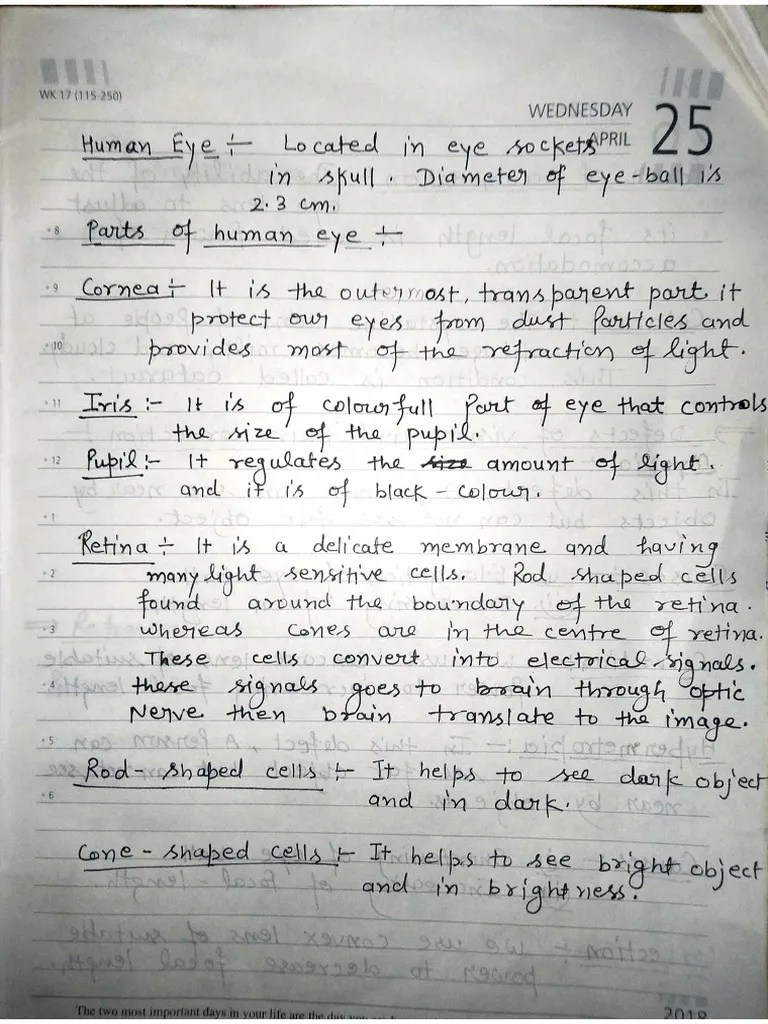 Human Eye Class 10 | PDF