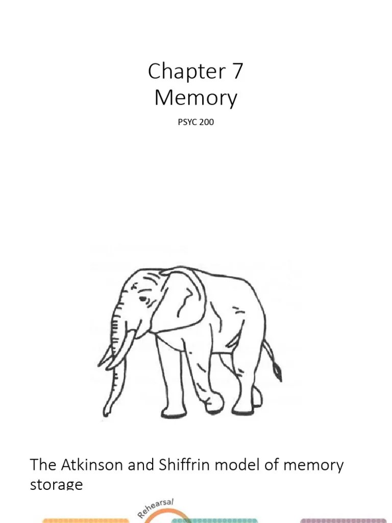 Chapter 7 Memory | PDF | Recall (Memory) | Priming (Psychology)