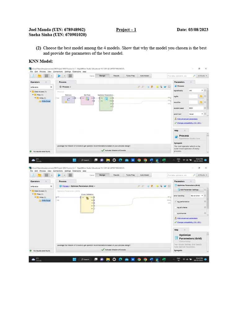 Data Mining - Project 1 | PDF