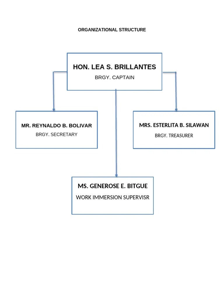 ORGANIZATIONAL STRUCTURE | PDF