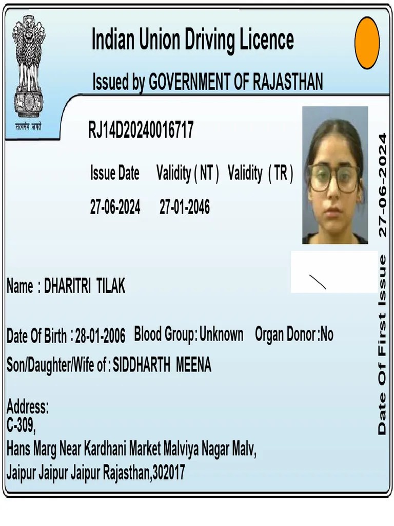 Driving Licence | PDF