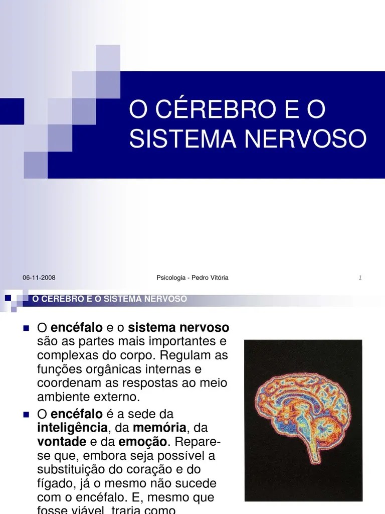 O Sistema Nervoso | PDF | Sistema Nervoso | Sistema Nervoso Central