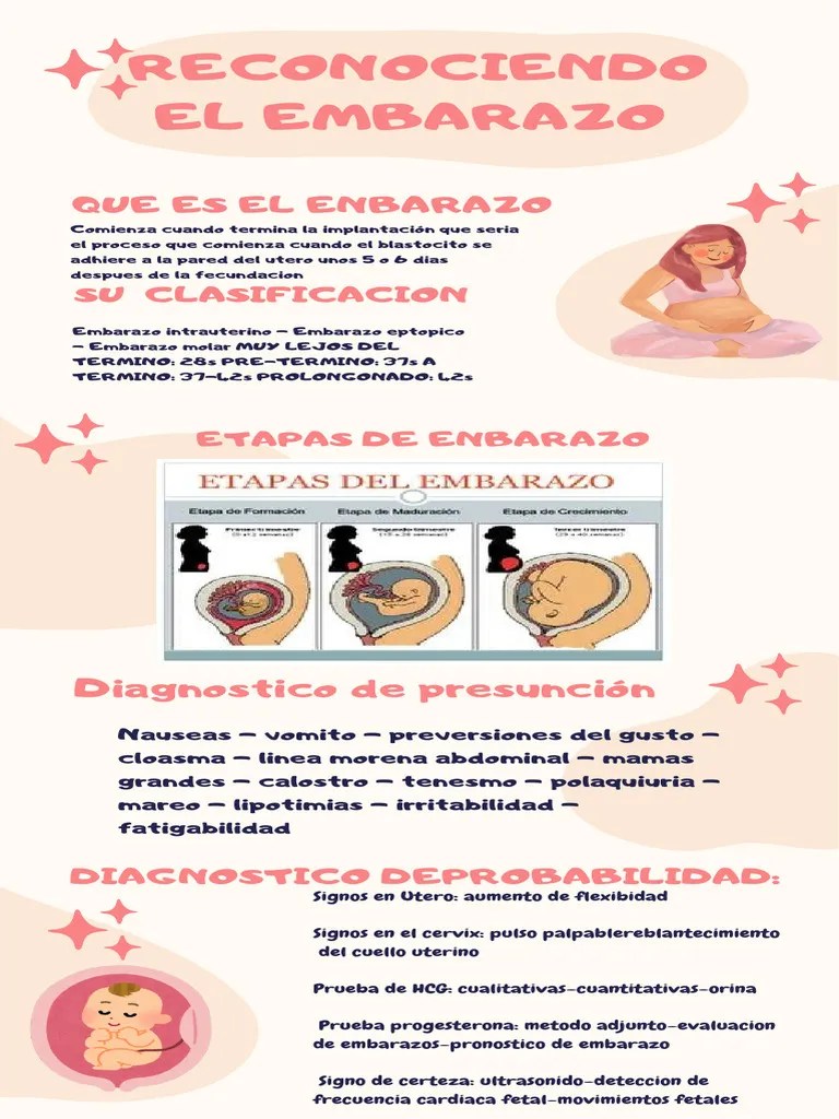 Infografia Conociendo El Embarazo | PDF
