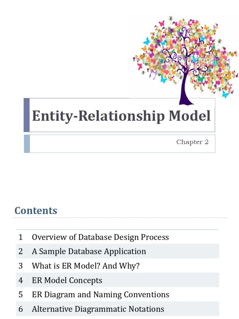 2A EntityRelationship Model | PDF | Conceptual Model | Data Model