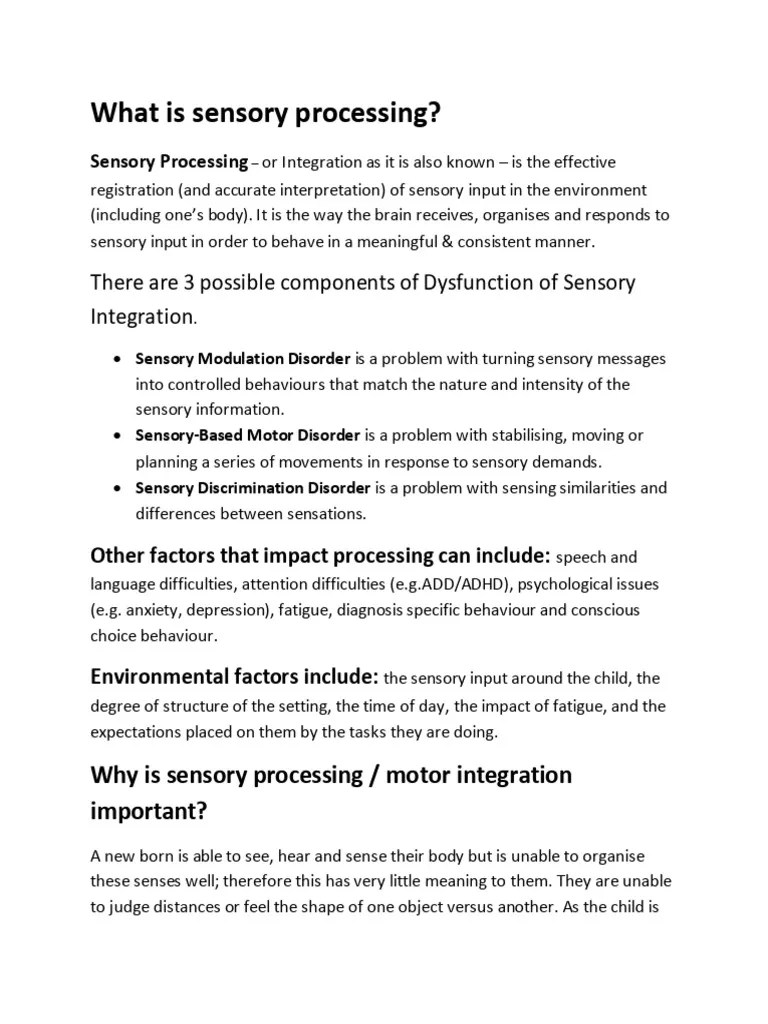 Sensory Processing | PDF | Senses | Perception