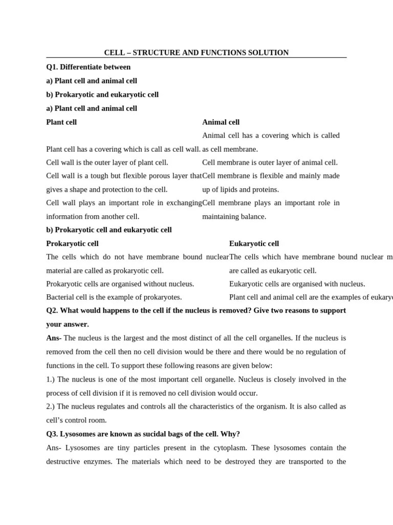 9 Cell Solutions | PDF | Cell (Biology) | Chloroplast