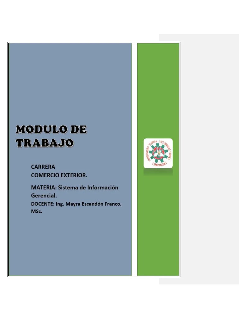 Modulo De Sistema De Informacion Gerencial 2. | PDF | Sistema De ...