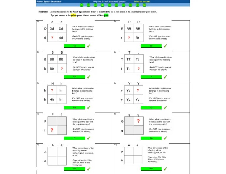 Copy Of Punnett Squares Introduction - Assignment | PDF