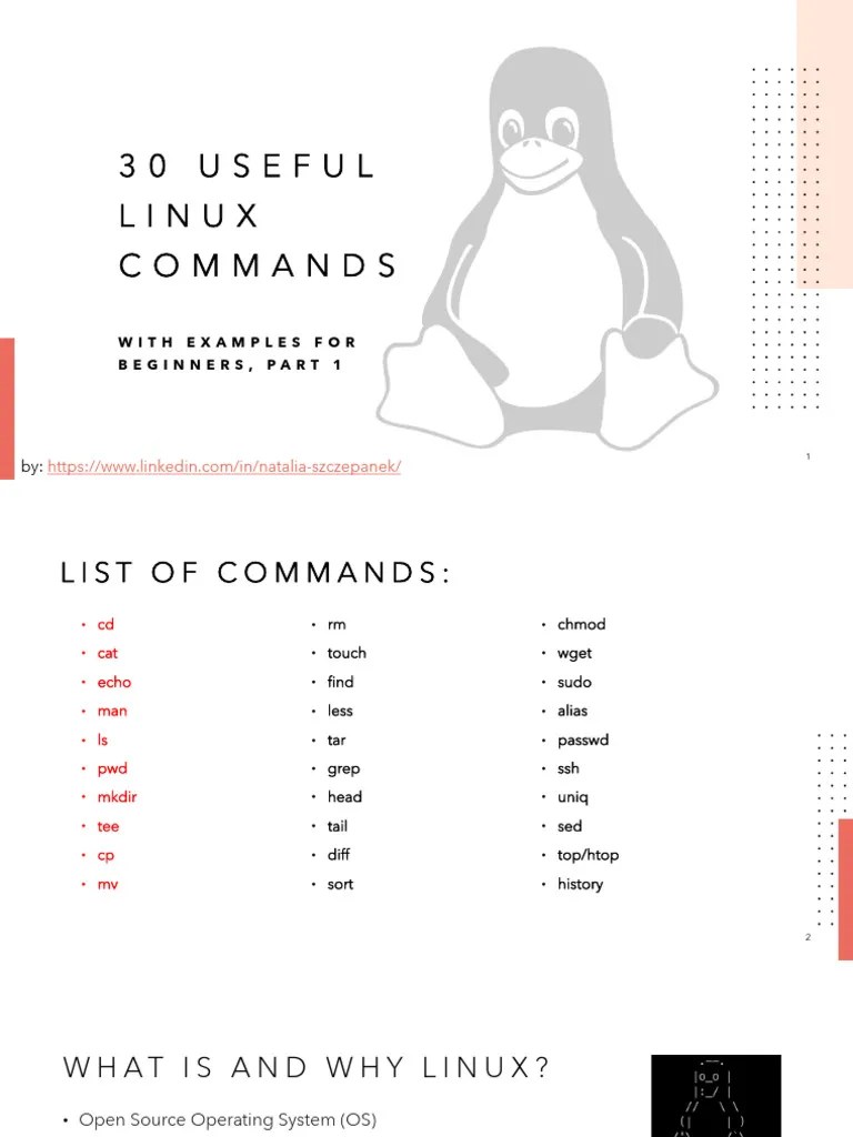 Linux Basics Part 1 | PDF | Text File | Directory (Computing)