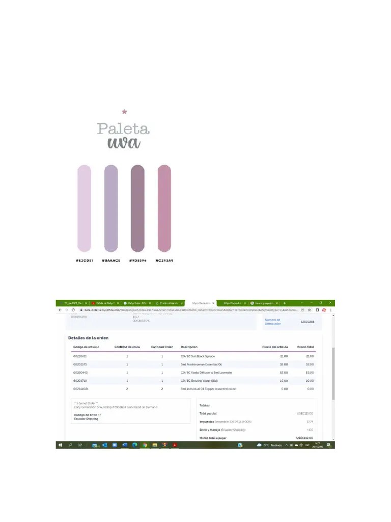 Paleta De Colores Canva | PDF