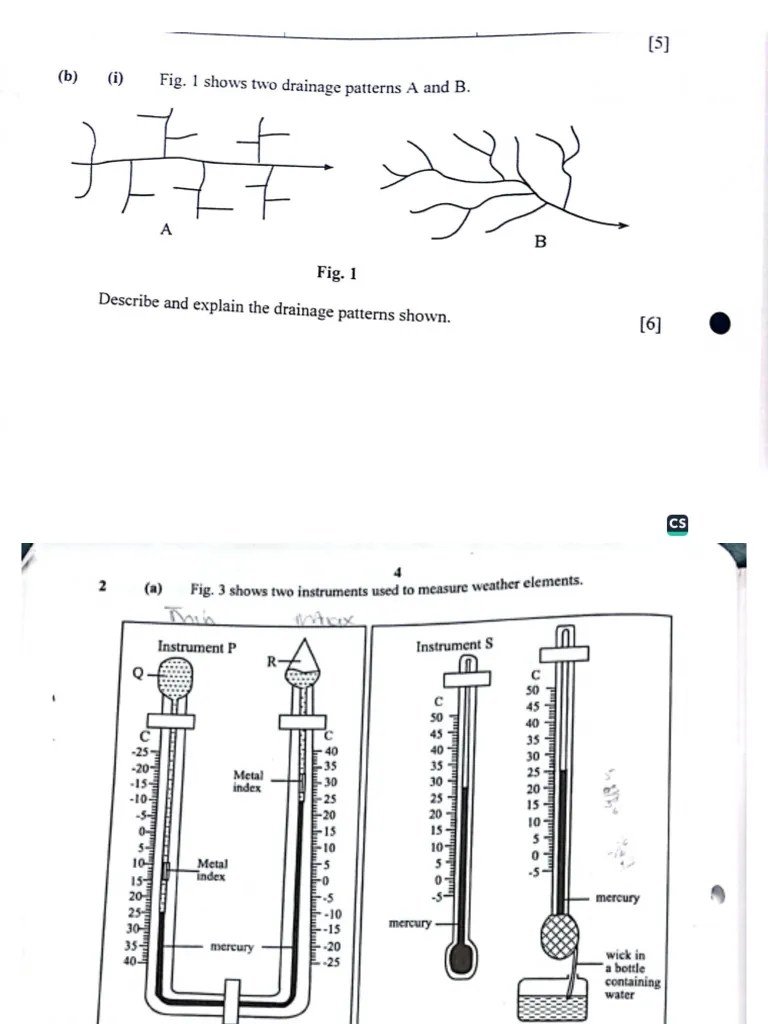 Past Exam Papers | PDF