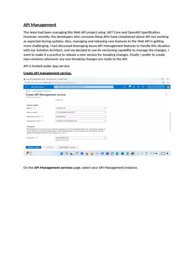 API Management | PDF
