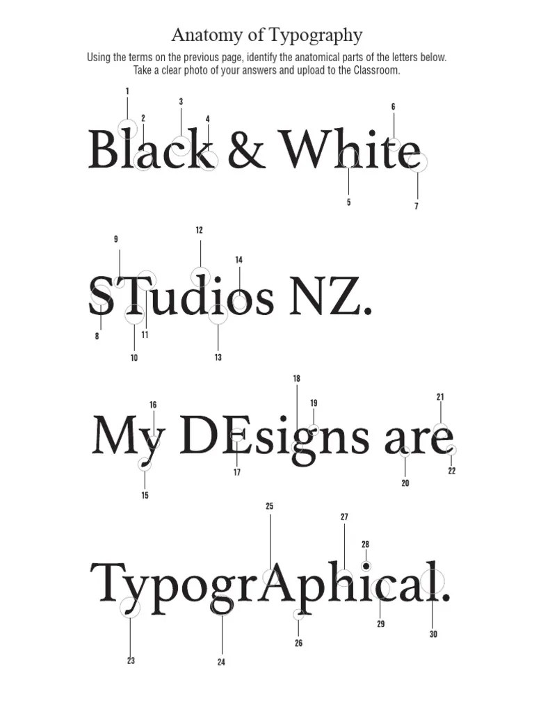 03. Anatomy Of Typography | PDF | Serif | Typography
