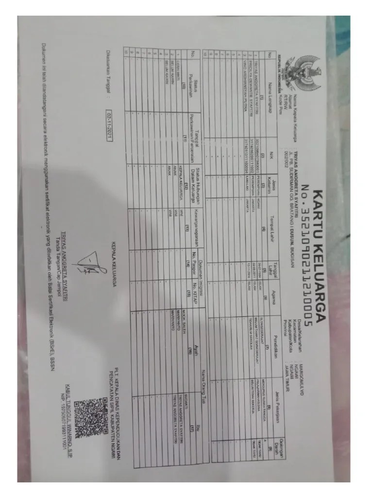 15 Pdf