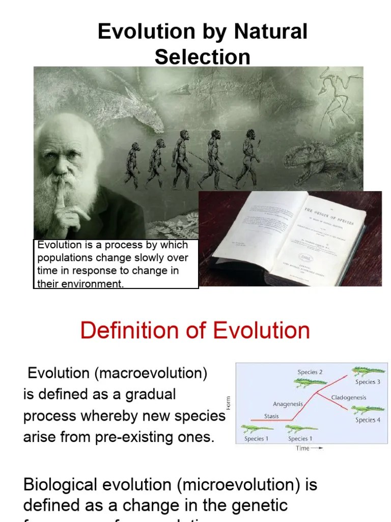 Evolution By Natural Selection.ppt | PDF | Evolution | Genetics