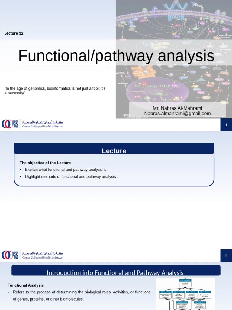 Lecture12 Functional Pathway Analysis | PDF | Metabolic Pathway | Cell ...