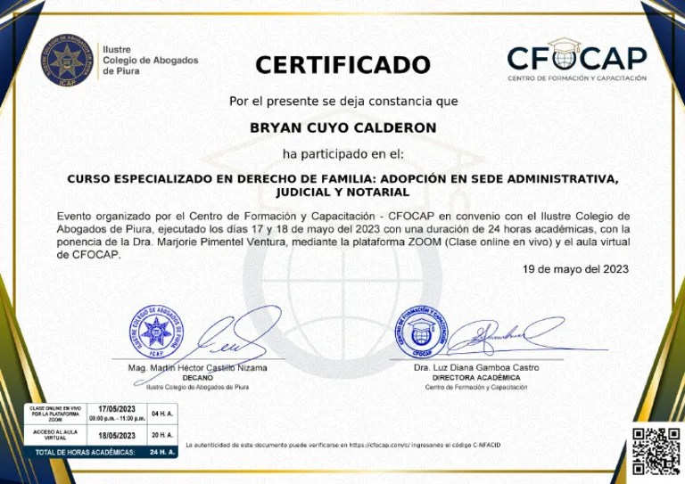 Curso Derecho De Familia 4 | PDF