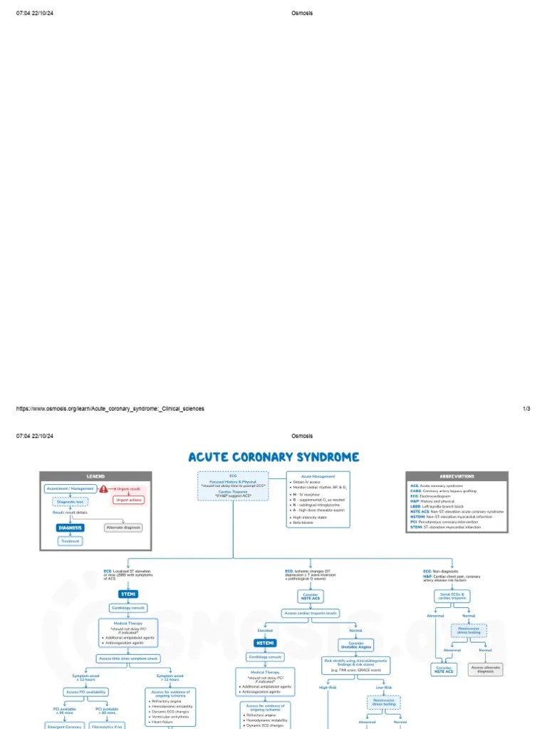 Acute Coronary Syndrome - Video & Meaning - Osmosis | PDF