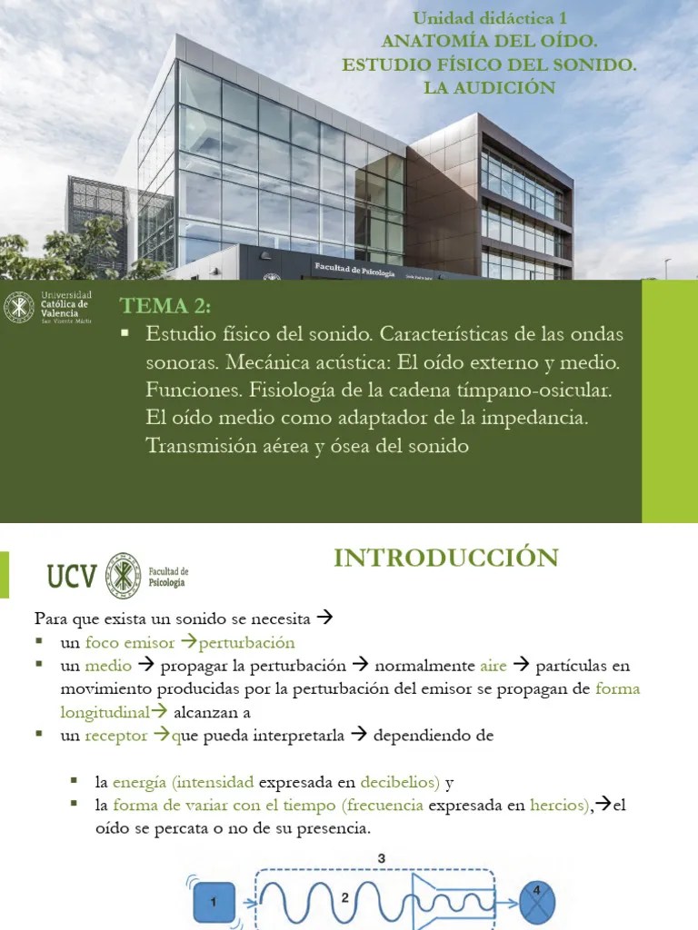 Tema 2 Fisiologia | PDF | Sonido | Oído