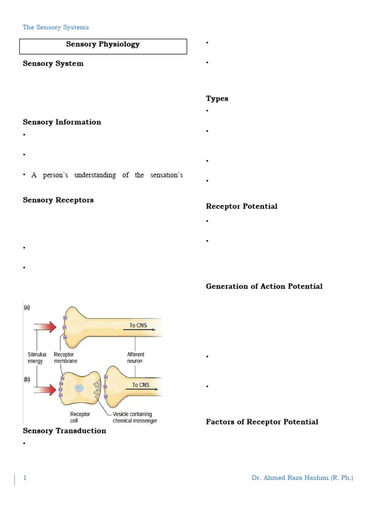 (c) Sensory Physiology | PDF | Stimulus (Physiology) | Ear