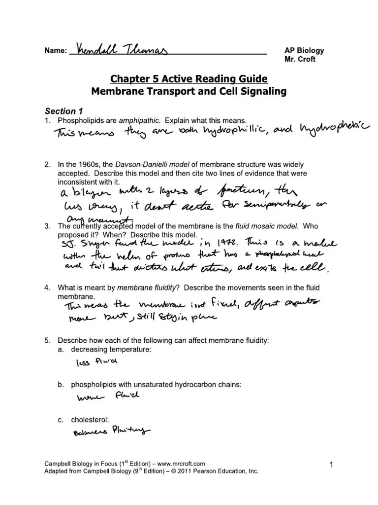 Chapter+5+Guided+Reading+%28Excluding+5.6%29 | PDF