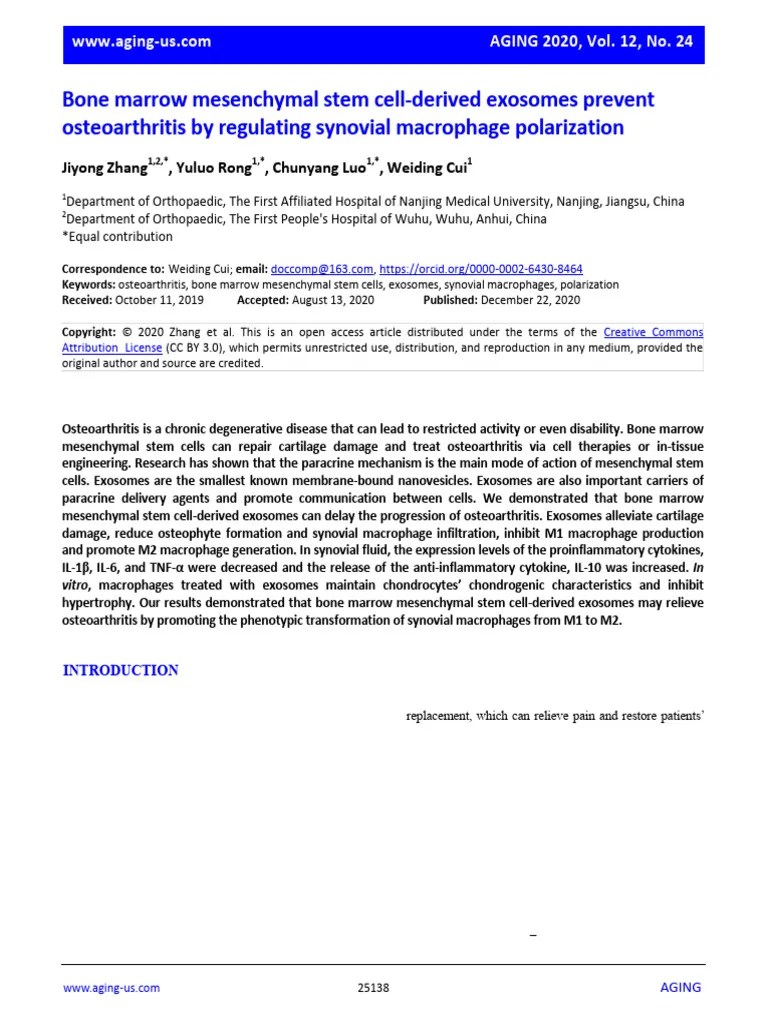 Bone Marrow Mesenchymal Stem Cell-Derived Exosomes Prevent ...
