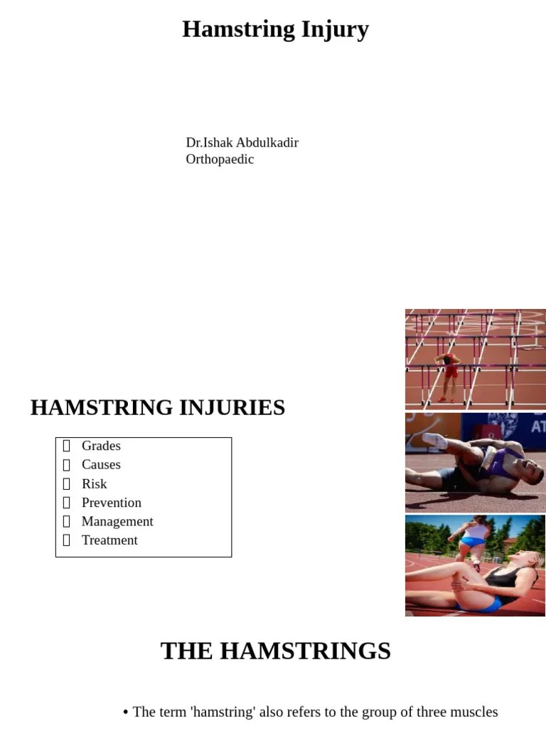 HAMSTRINGS | PDF | Clinical Medicine | Musculoskeletal System