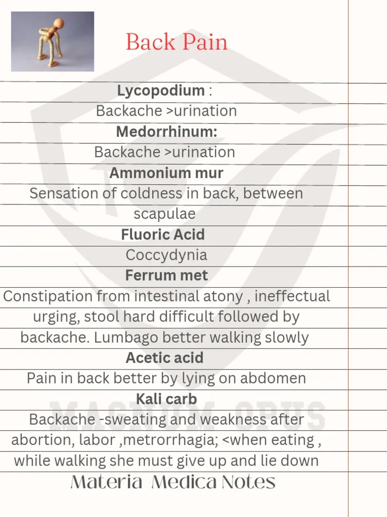 Back Pain | PDF | Back Pain | Medicine