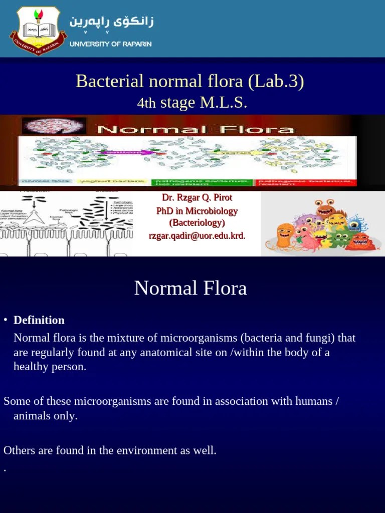 Lab 3 | PDF | Microorganism | Microbiology