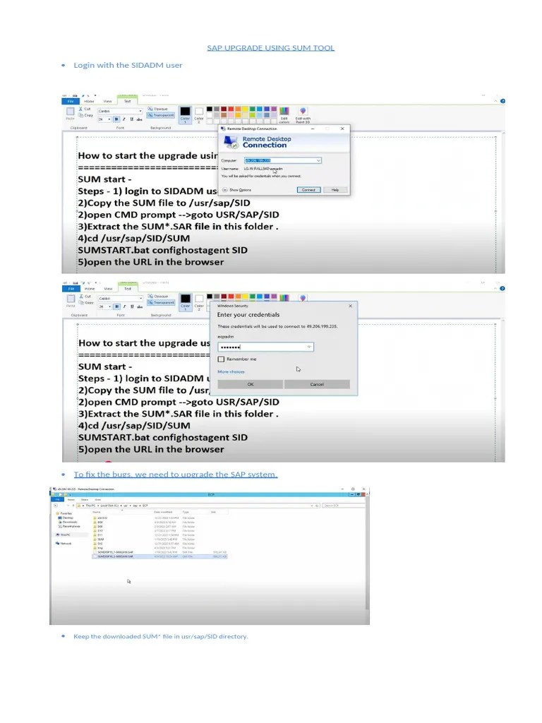 SAP UPGRADE USING SUM TOOL | PDF