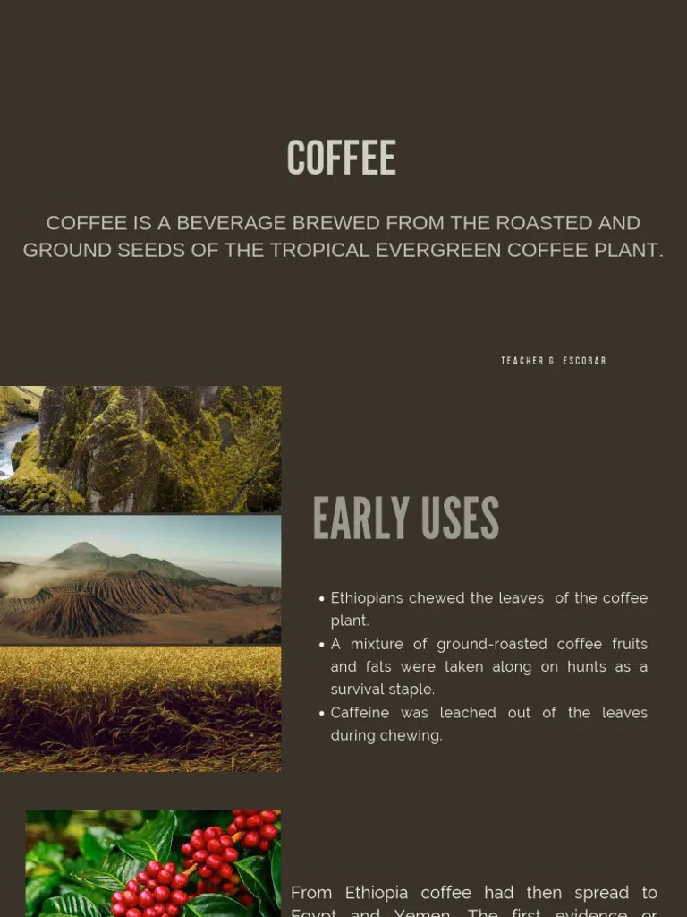 COFFEE | PDF | Coffee | Trees
