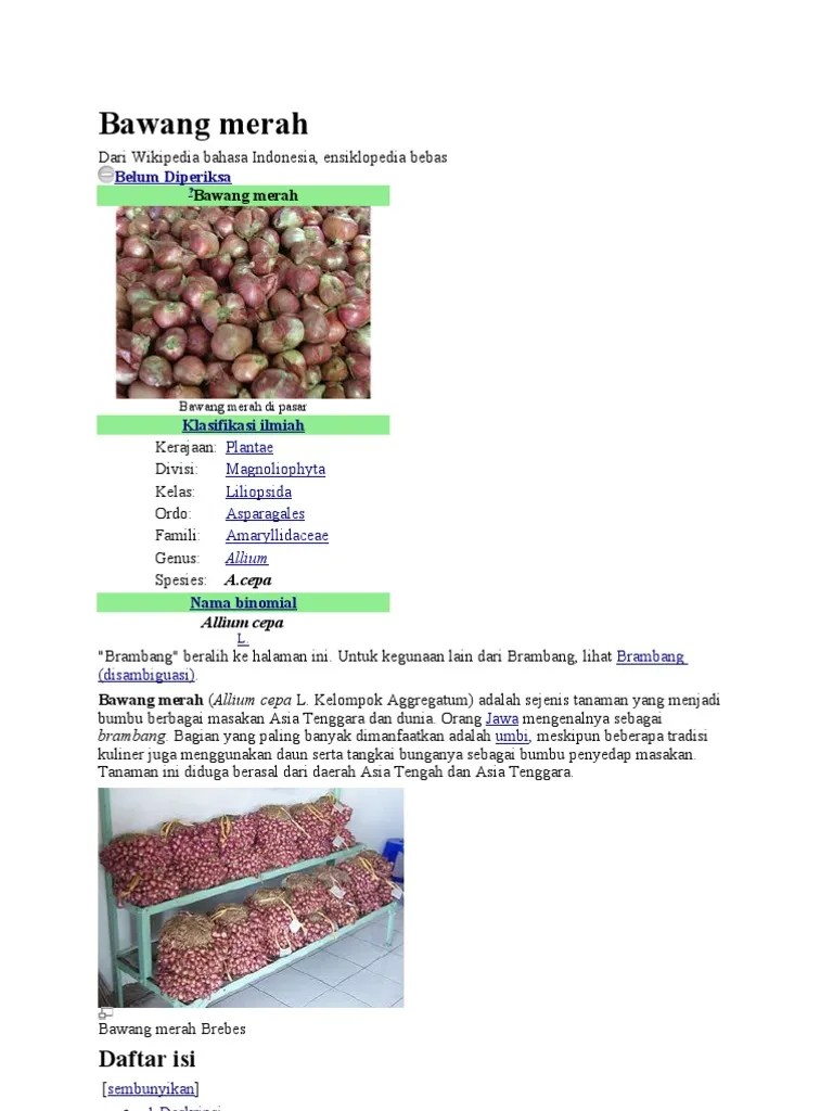 Bawang Merah Wikipedia
