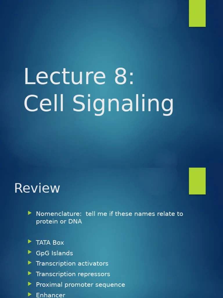 Signal Transduction Cell Bio 2023 Pdf Cell Signaling Ligand - Stunning Mobile Space Designs | Free Download