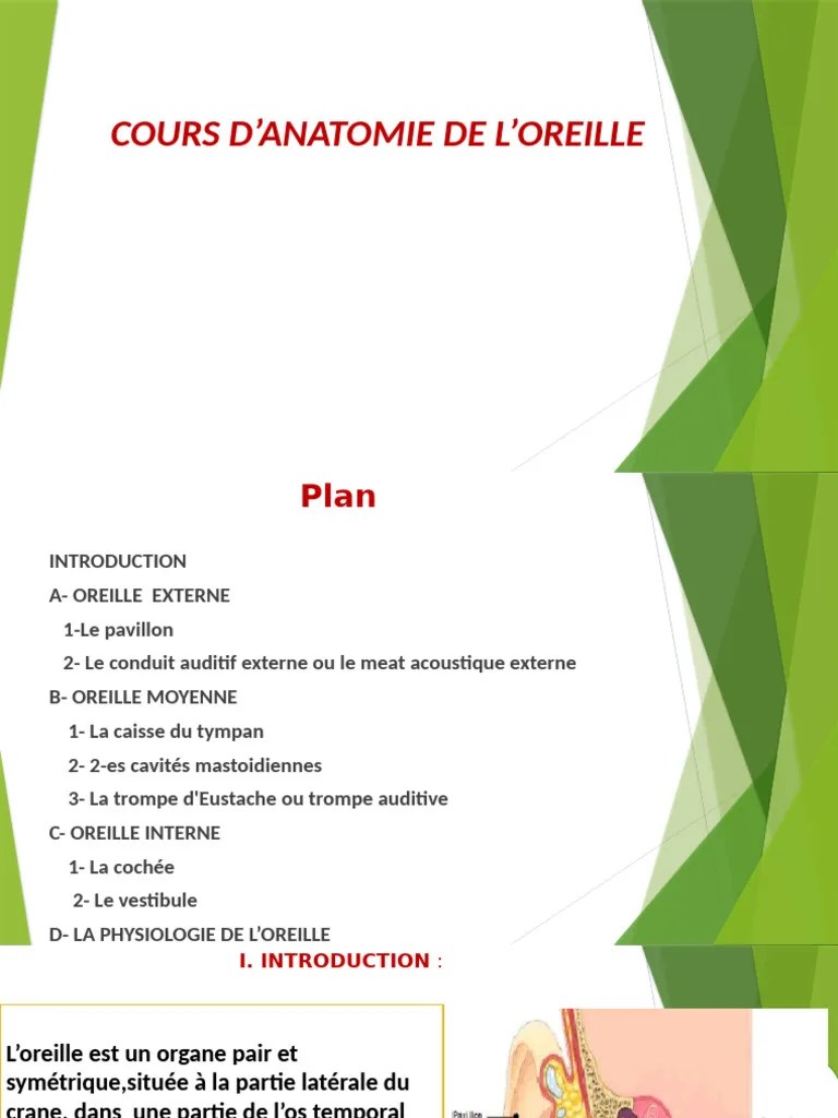 Anatomie Physiologie De L Oreille | PDF | Oreille | Sens (physiologie)