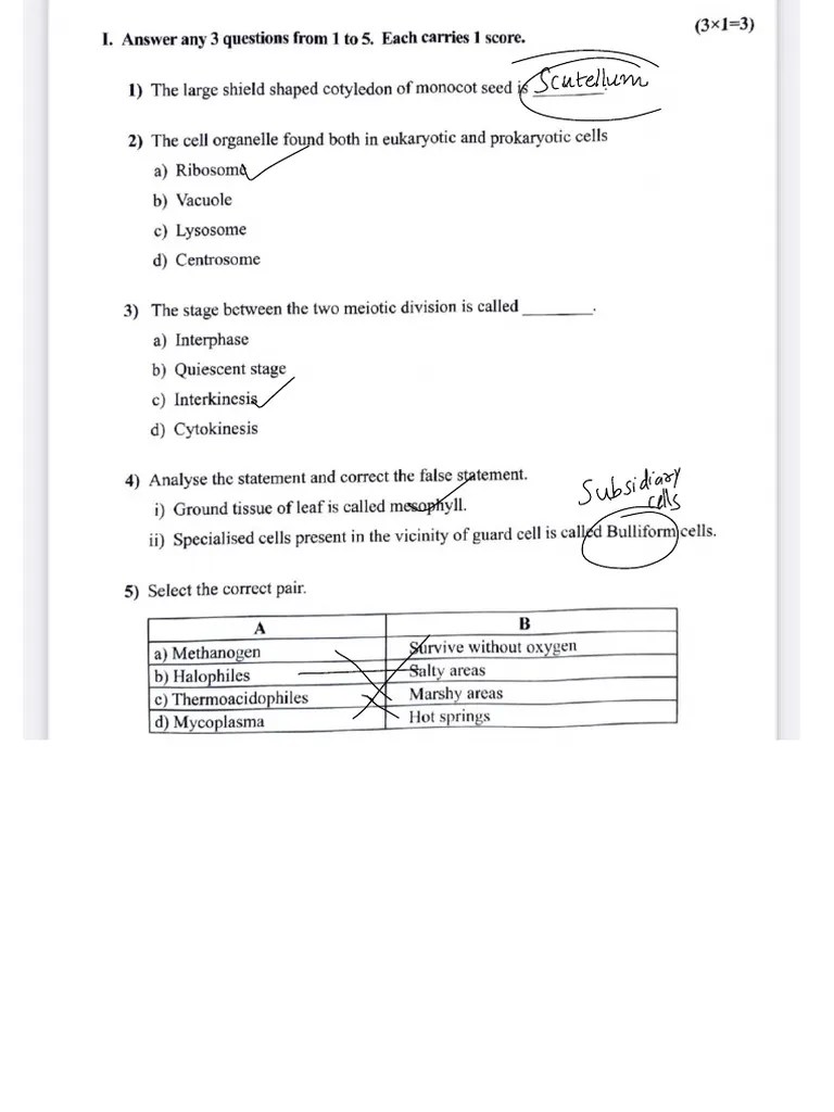 Plus One Christmas Exam Revision | PDF | Cell (Biology) | Cell Biology