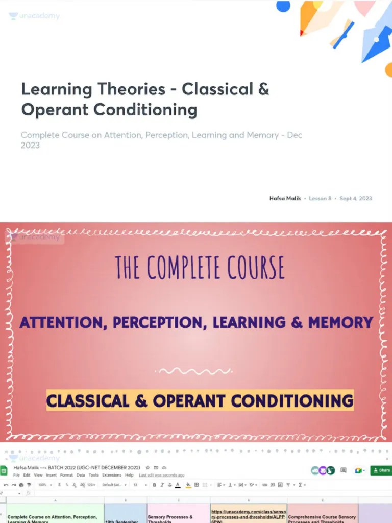 Learning Theories Classical Operant Conditioning No Anno | PDF