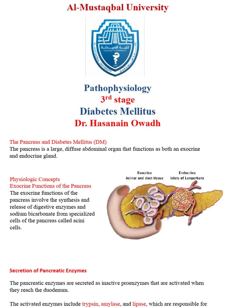 Diabetes Mellitus | PDF | Pancreas | Digestive System