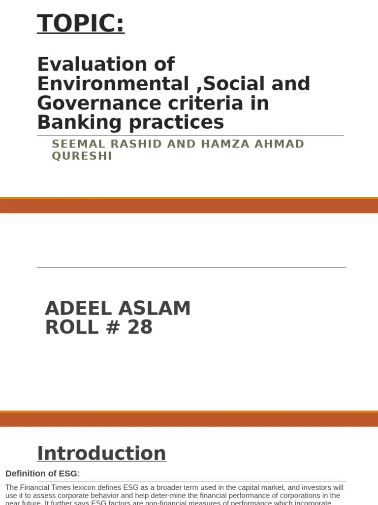 Islamic Banking | PDF | Sustainability | Corporate Social Responsibility