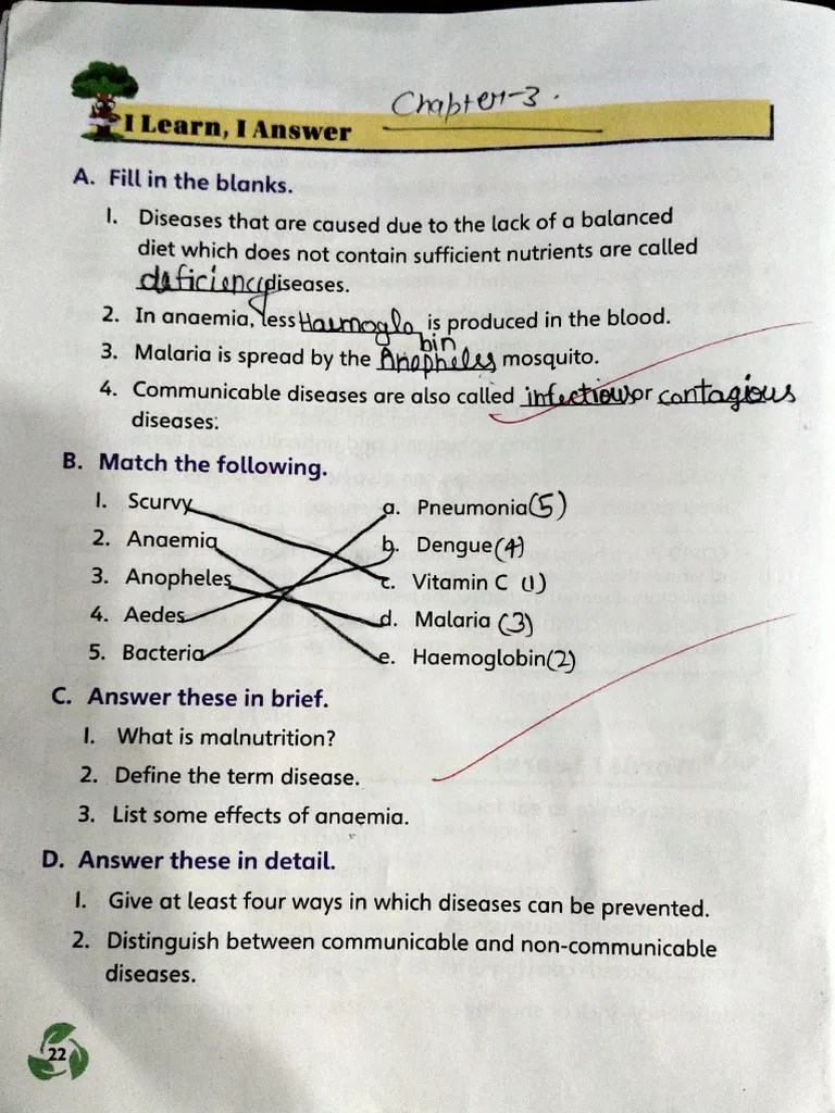 Class 5 EVS Book | PDF | Latitude | Cartography