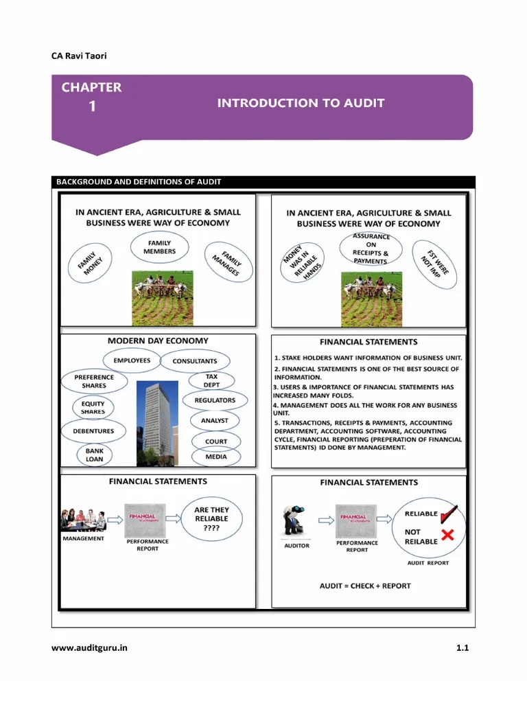 Chapter-1. Introduction To Audit | PDF