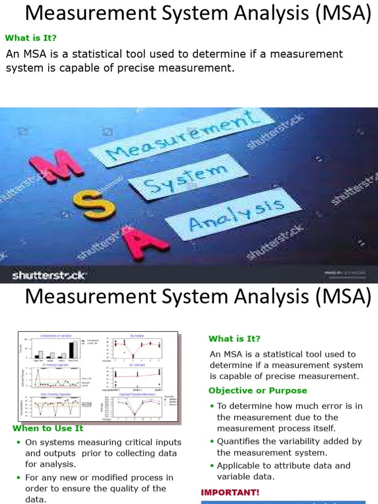 Msa